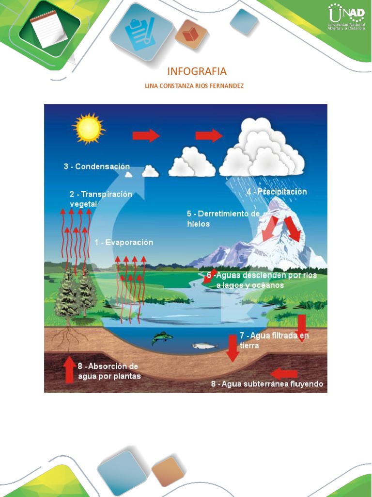 Infografía sobre Cuencas Hidrográficas | PDF | Río | Agua subterránea