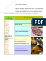 preparacion de fosiles tipos.pdf