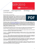 Disaster Management: Strategy and Coordination: Executive Summary
