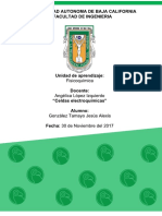 Celdas Electroquimicas PDF
