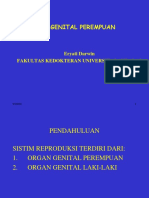 Organ Genital Perempuan-Laki2