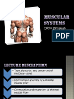 02. Muscular Systems.pptx