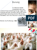 ASKEP PADA KLIEN FLU BURUNG (Avian Influenza)