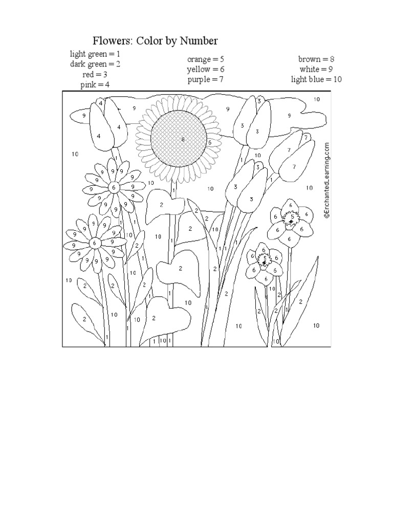 Colo Number | PDF