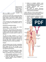 Fisiopatologia Da Ateroslerose