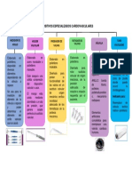 Dispositivos Especializados Cardiovasculares