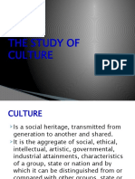 The Study of Culture