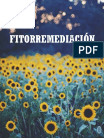 Fitorremediación: procesos y mecanismos