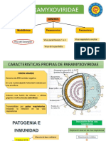 SARAMPIÓN