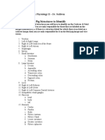 List of Structures To Identify - Fetal Pig & Digestive
