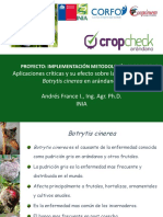 2 Cropcheck Arandanos PDF