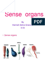 Sense Organs