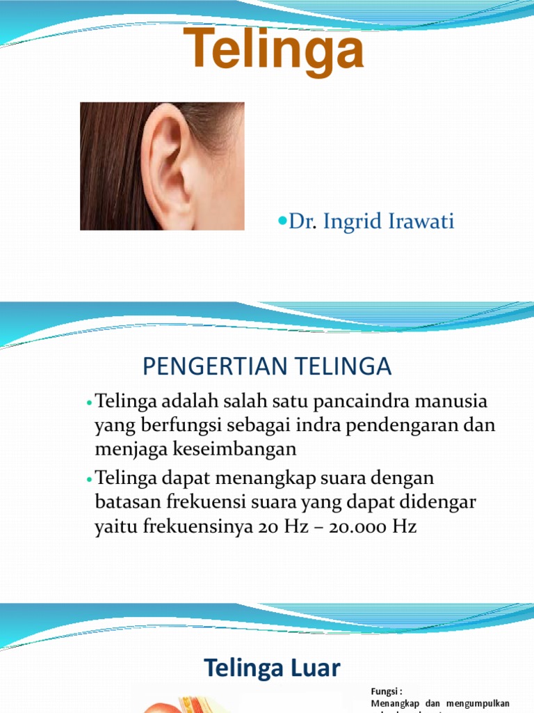 Unduh 5300 Gambar Gendang Telinga Saluran Eustachius Dan Saluran Setengah Lingkaran Paling Bagus Gratis HD