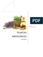 Plantas Medicinales