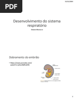 Desenvolvimento Do Sistema Respiratorio