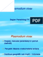 Plasmodium Vivax
