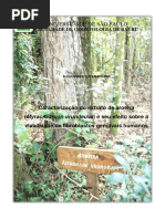 AlessandraCuryMachado_Rev.pdf