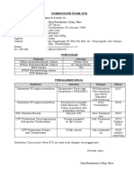 Curriculum Vitae (CV) Dani