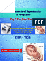 Mekanisme Hipertensi Kehamilan 2011