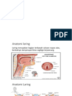 Anatomi Dan Fisiologi Laring