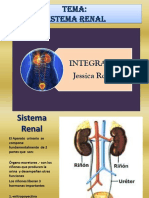 sistema renal yeka.pptx