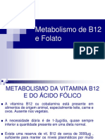 Metabolismo B12 e Folato: Integração e Hipótese da Captura de Folato