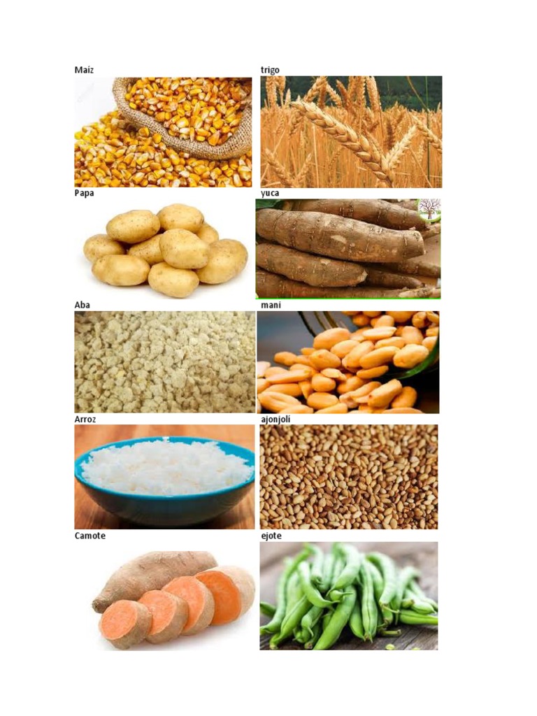 Alimentación