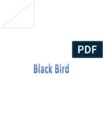 Blackbird 2wew
