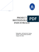 Proiect Biotehnologii