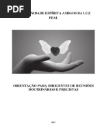 Orientação Para Dirigentes de Reuniões Doutrinárias e Precistas