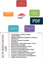 Lineas de Investigacion - USAT