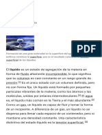 Líquido PDF