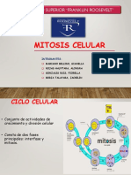 mitosis celular