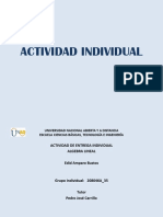 Amparo Bustos_ Grupo 2080246A_361_Presentación Pre-Tarea.pdf