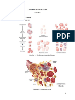 LP Anemia