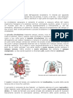 Modulo 1 Anatomia Cardiaca
