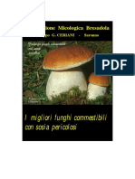I Migliori Funghi Commestibili Con Sosia Pericolosi: Associazione Micologica Bresadola