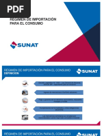 EL PROCESO DE IMPORTACION.pdf