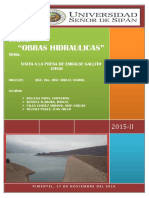 307502491-Visita-GALLITO-CIEGO-docx.docx