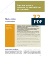 Nucleótidos / Metabolismo de Las Purinas