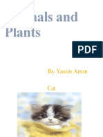 Animals and Plants: by Yasiin Amin