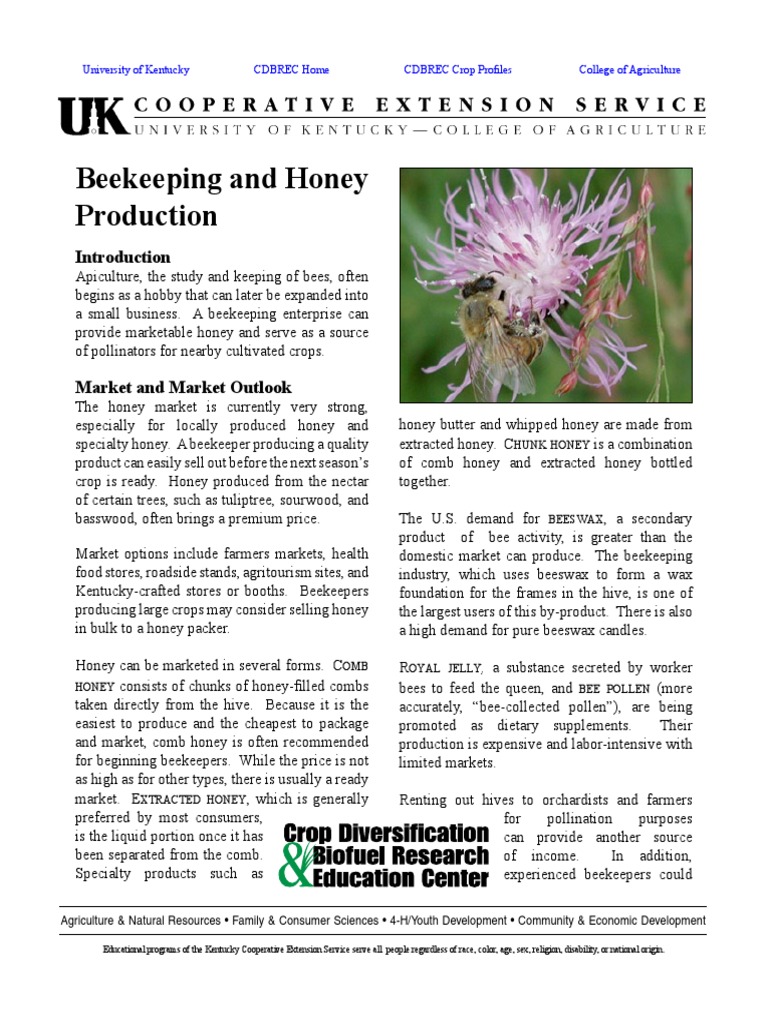 Beekeeping and Honey Production Guide | PDF | Beekeeping | Beehive