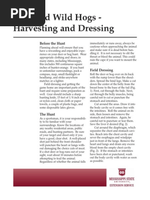 butchering-deer-and-wild-hogs.pdf