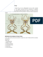 FROGS.pdf