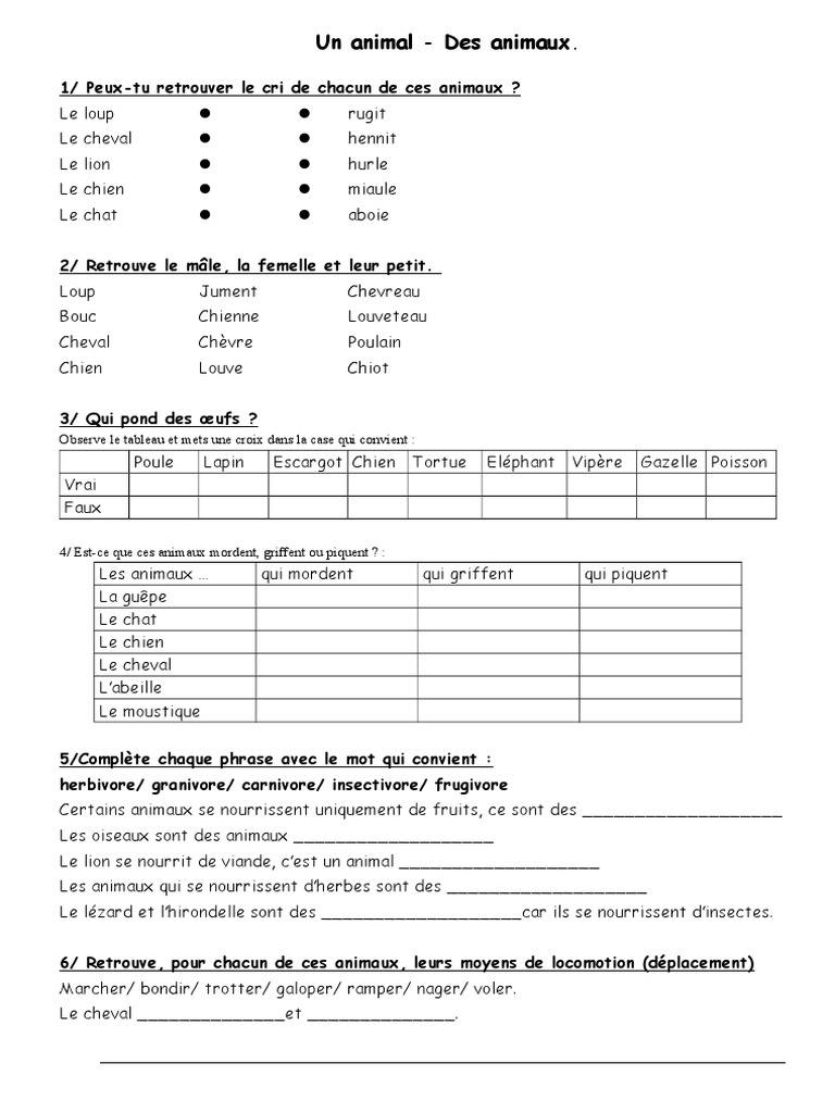 Les Animaux 41165 Lobo Cinzento Cães