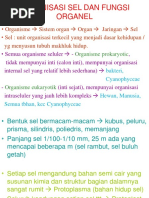 Organisasi Sel Dan Fungsi Organel (Rev)