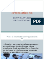 Presentation on Boundary Less Organization............