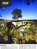 Paisagem Do Sul - MedMD666RY7