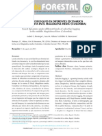 DINÁMICA DE BOSQUES EN DIFERENTES ESCENARIOS DE TALA SELECTIVA.pdf