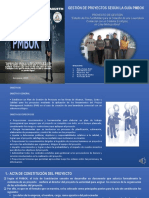 PMI FORMATOS